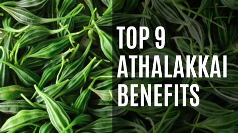 athalakkai benefits.